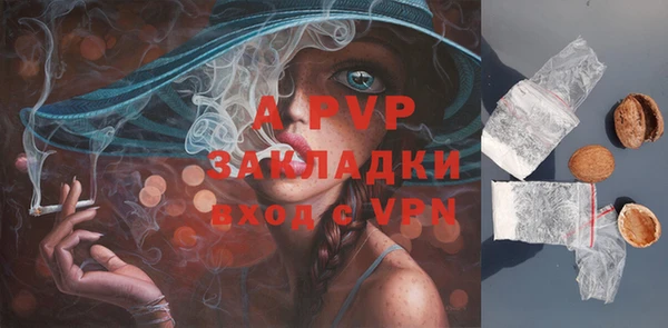 дмт Ростов