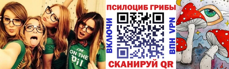 Псилоцибиновые грибы Cubensis Апатиты